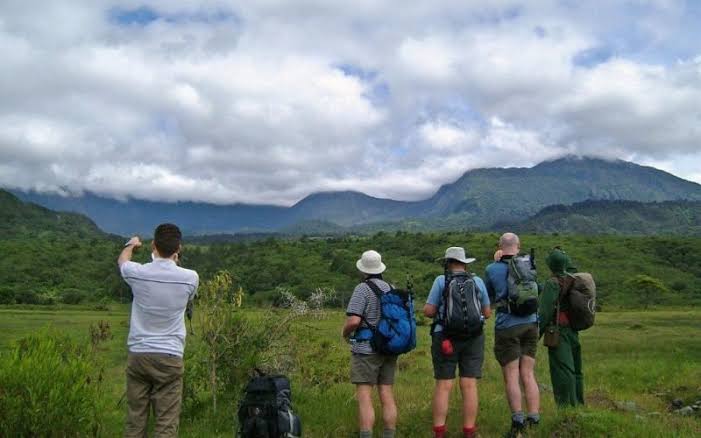 Arusha National Park Walking Safari