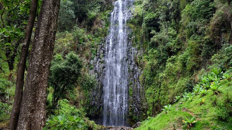 Materuni Waterfalls Day Trip from Arusha