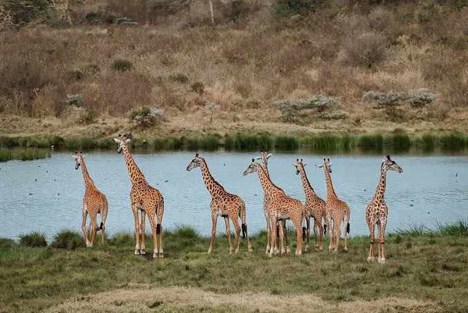 Tanzania Day Trips