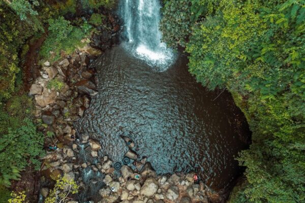 From Arusha: Coffee Farm and Mangalia Waterfalls Day Tour