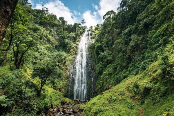 Materuni Waterfall &/or Chemka Hot Springs &/or Coffee Tour