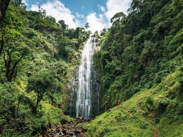 Materuni Waterfall &/or Chemka Hot Springs &/or Coffee Tour